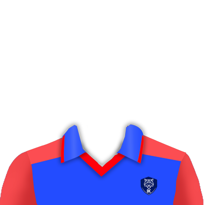 Delhi Jersey