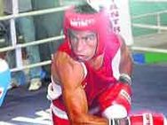 Asian Boxing Cup Indian Trio Storm Into Semis