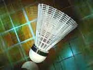 Two Australian Badminton Players Pull Out Of Wbc