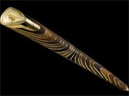 Cwg Baton Arrives In Delhi