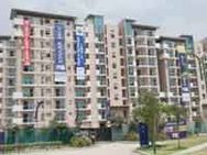 Fennell Certifies Cwg 2010 Village As Best Ever