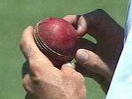Petabats Against Cricket Leatherballs Aid