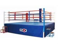 Indianeeds Europe Like Club System For Boxingakhil Aid