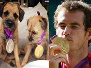 Andy Murray Precious Olympic Medals Rest With His Dogs