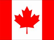 Indo Canadian Mps Denounce Ban On Sikh Turban On Field