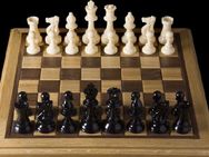 Carlsen Again Defeats Anand Takes 2 Point Lead