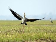 In Pics What Happened On January 23 1381895 Pg