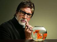 Big B On Cricket Pitch Now Megastar Bachchan Commentate India Pakistan Match