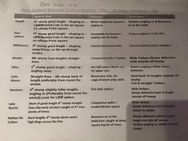 South Africa S Bowling Plans Leaked After Being Delivered Wrong Hotel Room