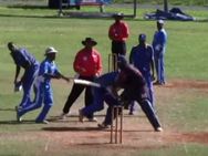 Video Cricket Match Turns Wrestling Kickboxing Contest Player Banned