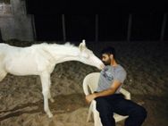 I Stayed Away From Cricket Spent Time With My Horses Ravindra Jadeja