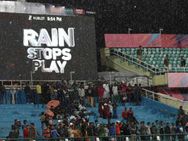 Twenty20 Match Abandoned As Player Attacks Spectator