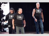 Wwe Hall Of Famer Scott Hall Reveals Wrestlemania 33 Goldberg