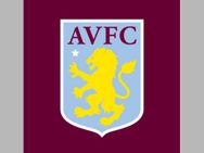 Steve Bruce Takes Over As Aston Villa Manager