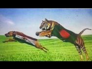 Bangladesh Fan Insults Tricolour Ahead Of India Bangladesh Semi Final Champions Trophy