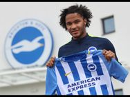 Official Chelsea Forward Izzy Brown Joins Brighton On Loan