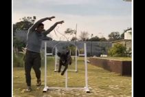Ms Dhoni Posts Another Video Training His Dog Watch Video