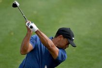 False Dawn Or The Return Of The King Charting Tigers Toil And Torment