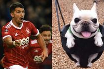 Getericadog Eric Lichaj Arsenal Fa Cup Heroics Nottingham Forest