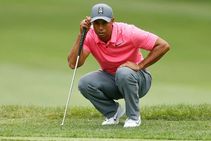 Valspar Championship Tiger Woods Excited Contention