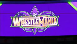 Wwe Rumour Conor Mcgregor To Appear At Wrestlemania 