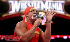 Wwe Reinduct Legendary Hulk Hogan Hall Fame