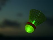 Badminton Tata Open Kicks Off On November 28 248 Players Fray