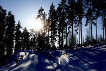 Five Athletes Arrested Anti Doping Operation Wada