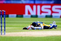 Cricket World Cup Sri Lanka South Africa Swarm Bees