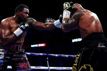 Wbc British Boxing Board Bbbofc Dillian Whyte Release Details Drugs Test Doping Ukad Vada