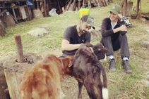 Virat Kohli Named Peta India S Person Of The Year