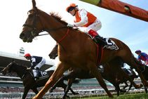 Vow And Declare Melbourne Cup