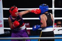 Big Bout Indian Boxing League Timur Helps Ne Rhinos Steal Panthers Thunder