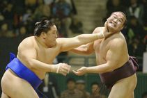 Sumo Wrestler In Japan Tests Coronavirus Positive
