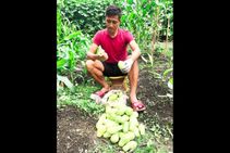 Coronavirus Organic Farming Keeps Ex India Skipper Gouramangi Singh Fresh In Lockdown