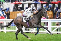 Competitive Sports Resume In England After 75 Day Shutdown