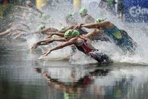 No Swimming Events In India Till Full Reopening Of The Pool Swimming Federation