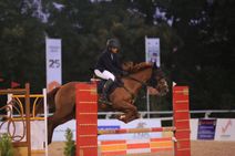 Equestrian Premier League 2021 Shlok Jhunjunwala Takes No 1 Spot In Show Jumping And Junior Categor