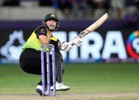 Australia S T20 World Cup Hero Matthew Wade Wants To Retire After T20 Wc 