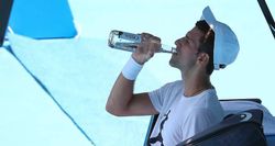 Australian Open 2022 Novak Djokovic Clarifies Says Agent Mistakenly Ticked Wrong Box On Travel Dec