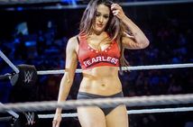 Wwe Wrestlemania 38 Update On The Bella Twins Status For The Ple