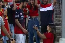 Ipl 2022 Girl Proposes To A Boy During Live Match Between Rcb And Csk