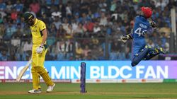 Aus Vs Afg Fans Troll Australia After Afghanistan Stun Them In High Stake World Cup 2023 Match Pune