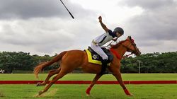 National Equestrian Championship Starts From January 18 Schedule Venue