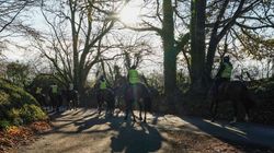 Keagan Kirkby Point To Point Rider And Paul Nicholls Team Member Dies In Fall