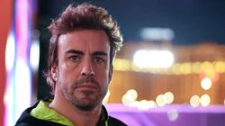 Fernando Alonso Perfect Lewis Hamilton Replacement Mercedes Lando Norris