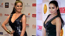 Poonam Pandey Dies After Battle With Cervical Cancer Her Connection With Indian Cricket