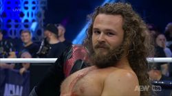 Aew X Njpw Forbidden Door 2024 Title Match And New Ladder Match Participant Set