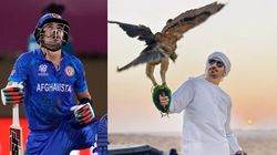 Rahmanullah Gurbaz All You Need To Know About His Networth Salary Career Personal Life Etc