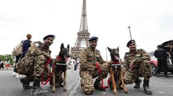 Paris 2024 Indian K9 Units Bolster Security For Summer Olympics